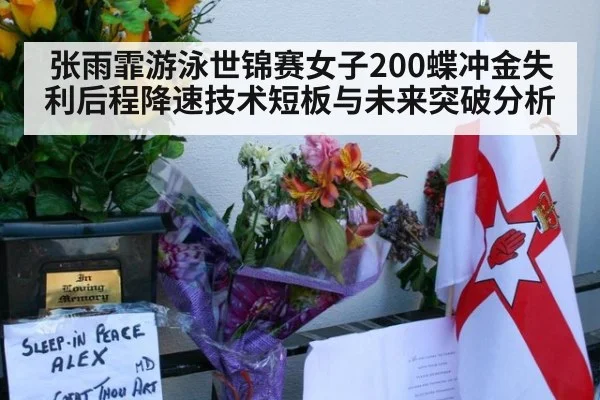 张雨霏游泳世锦赛女子200蝶冲金失利后程降速技术短板与未来突破分析